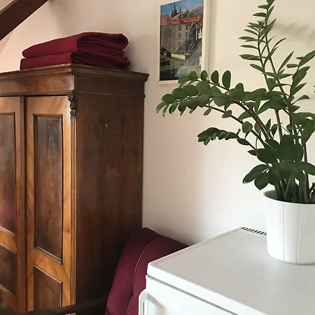 Rosemary Πράγα